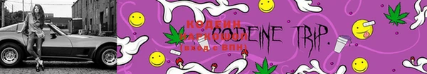 эйфоретик Богородицк